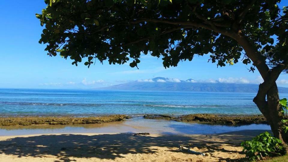 Lahaina Wonderful Condos Exterior foto